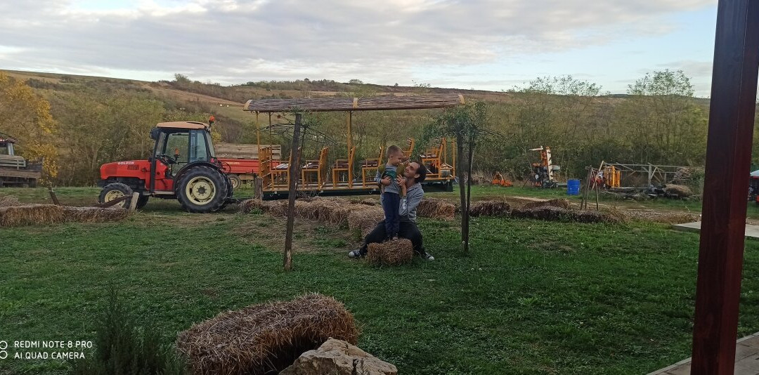 Vinarium-Banostor必去景点