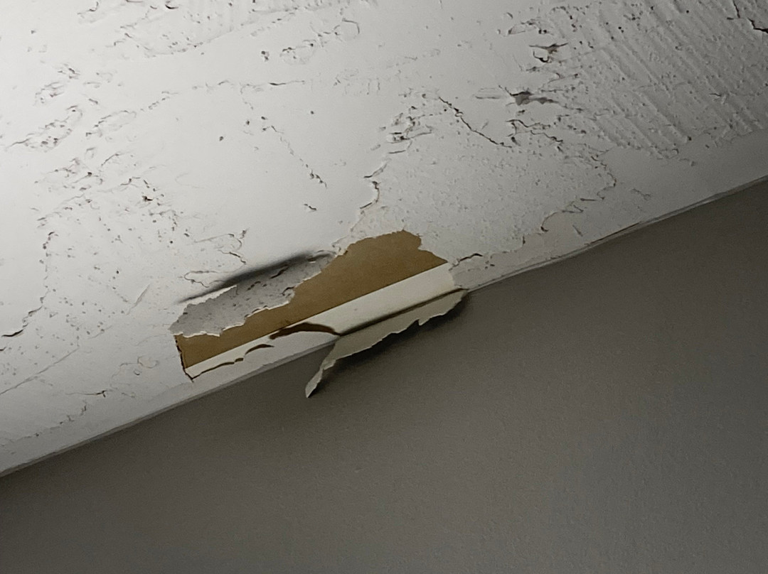 Best Western Plus Executive Court Inn & Conference Center主图