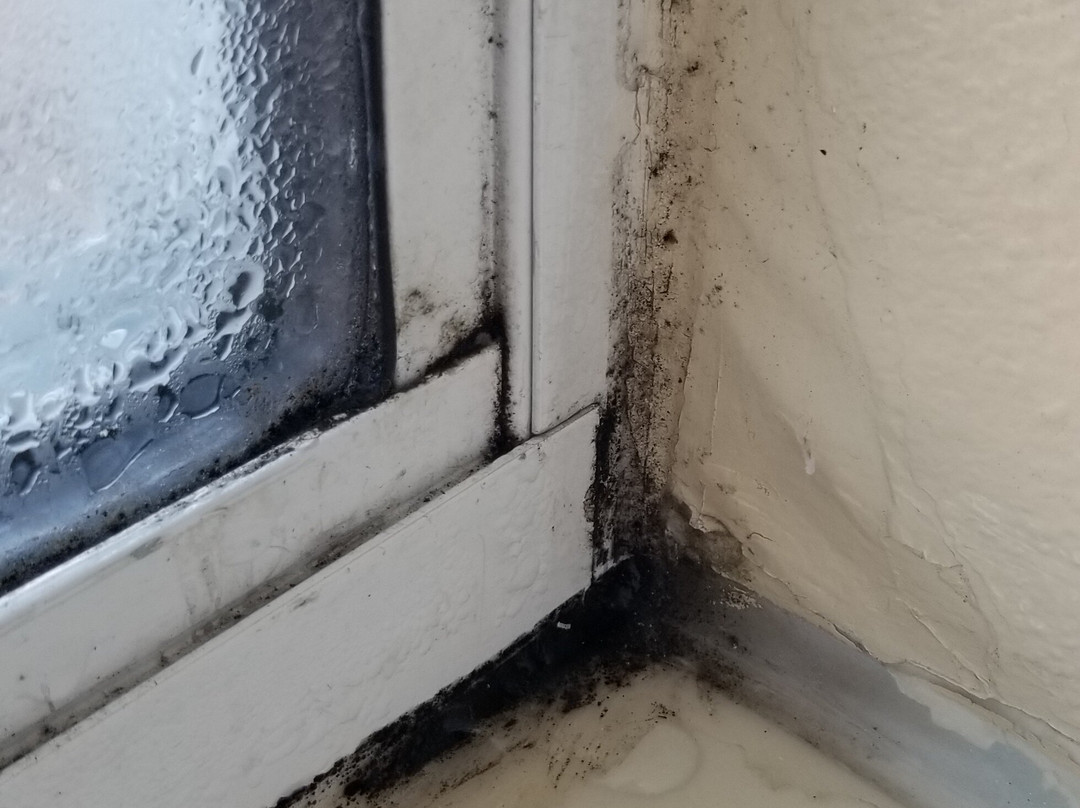 Days Inn by Wyndham Evansdale Waterloo主图