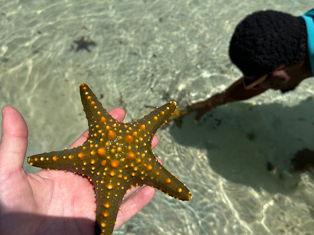 Mussa Francophone Tours-必韦久必去景点