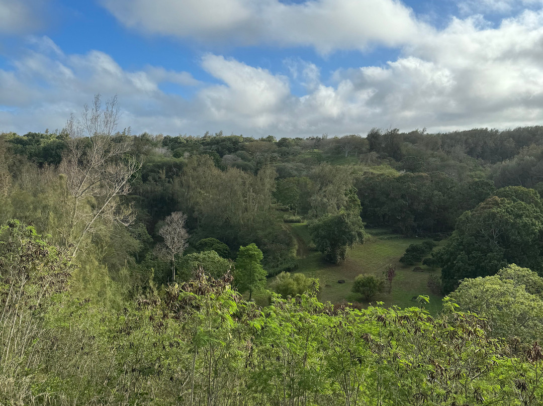 夏威夷岛霍欧马鲁西亚阿虎普哈库疗养酒店主图