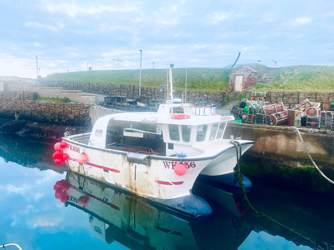 John O' Groats Harbour景点图片