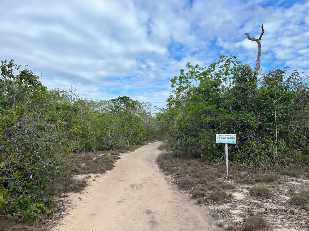 Serra da Piraoca-Alter do Chao必去景点
