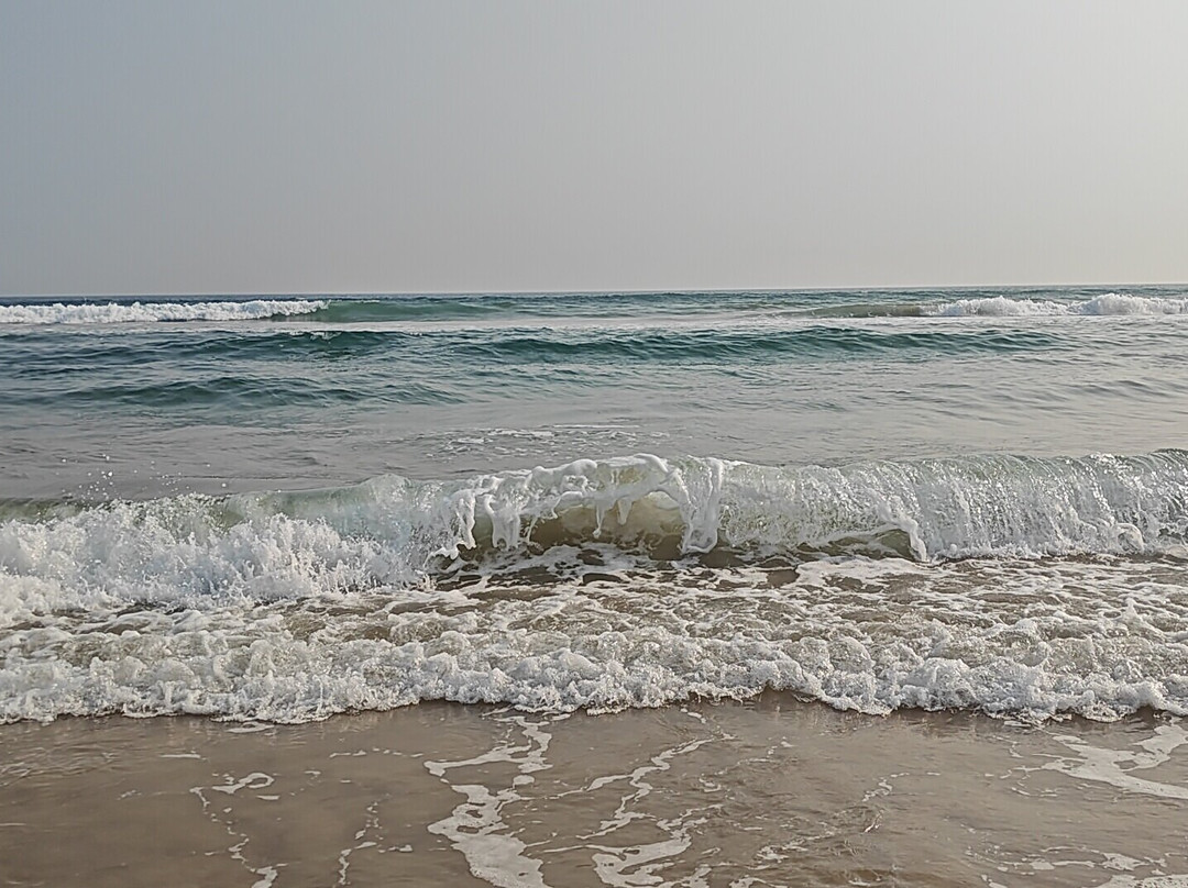 Samudra Resorts and Spa主图