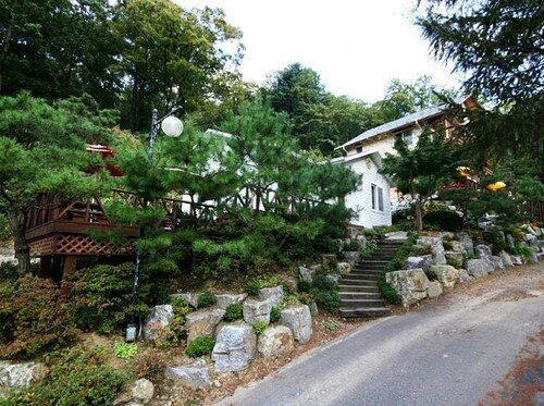 Cheongpyeong Natural Recreational Forest-加平郡必去景点