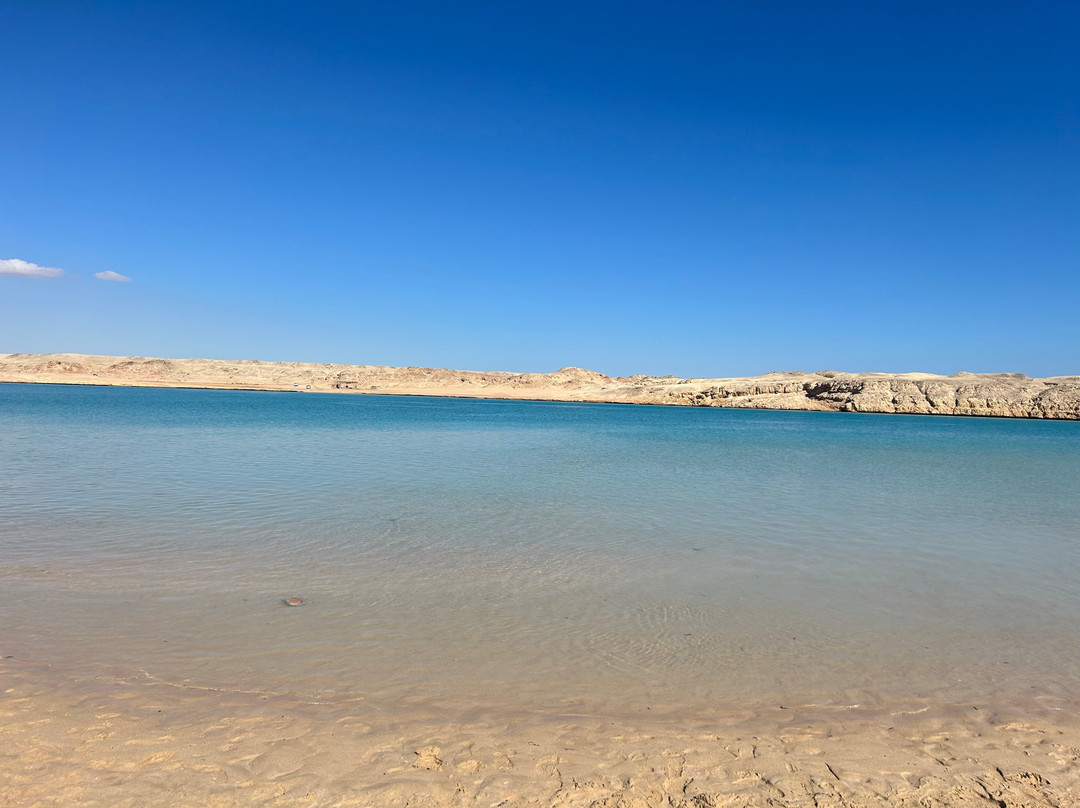 La Pecora Nera-Escursioni Sharm-沙姆沙伊赫必去景点