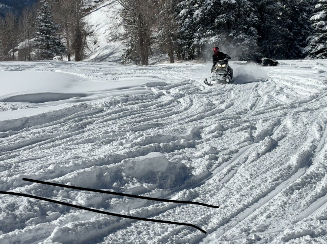 Wolfcreek Snowmobile Tours景点图片