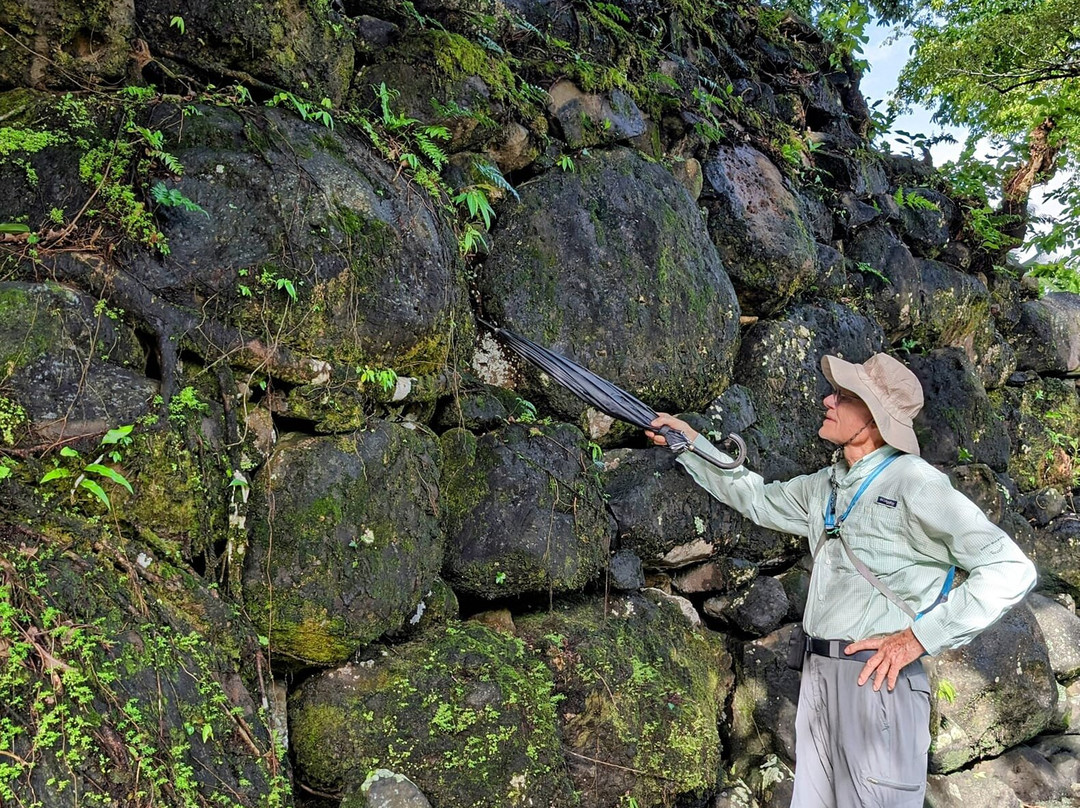 Lelu Island景点图片