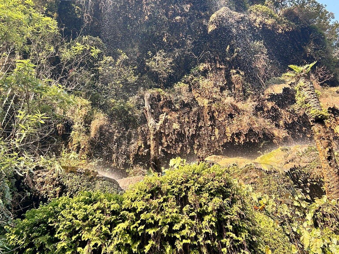 Sahastradhara景点图片