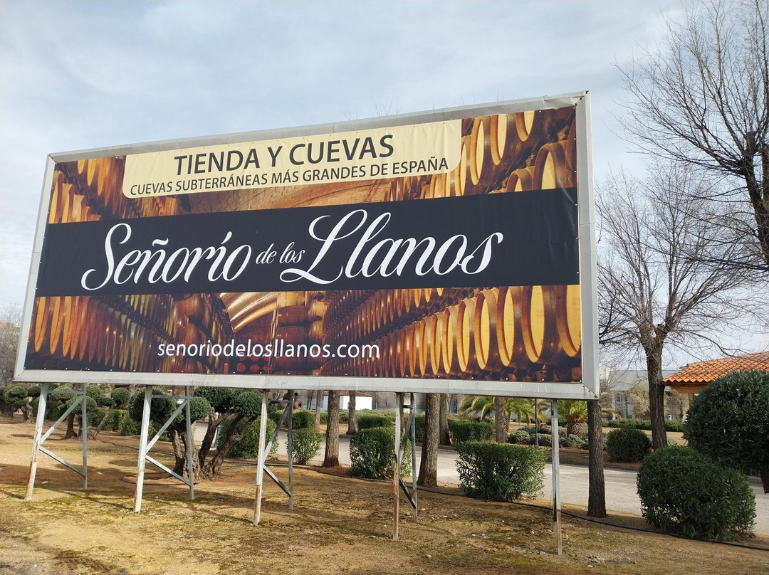 Bodega Señorio De Los Llanos景点图片