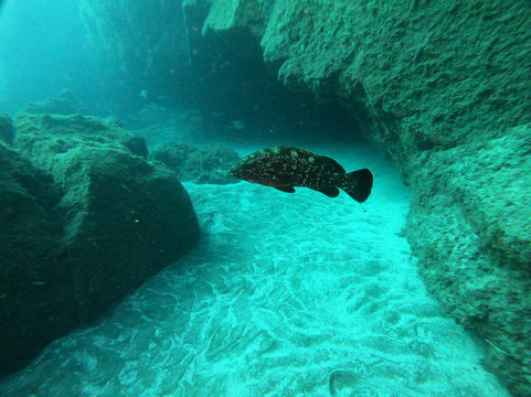 Leagues Ahead Diving-英国人海滩必去景点