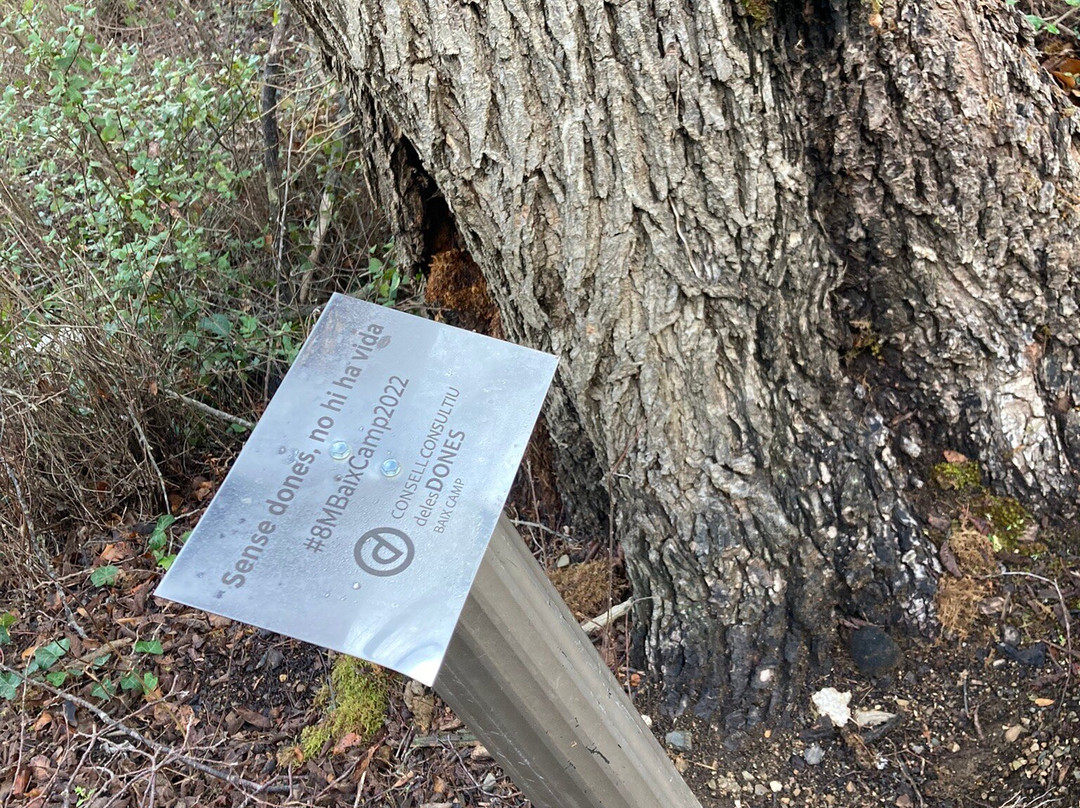 Les Velles Escoles主图