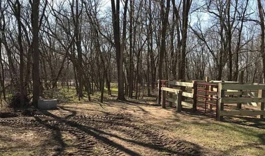 Ionia Horse Trails景点图片