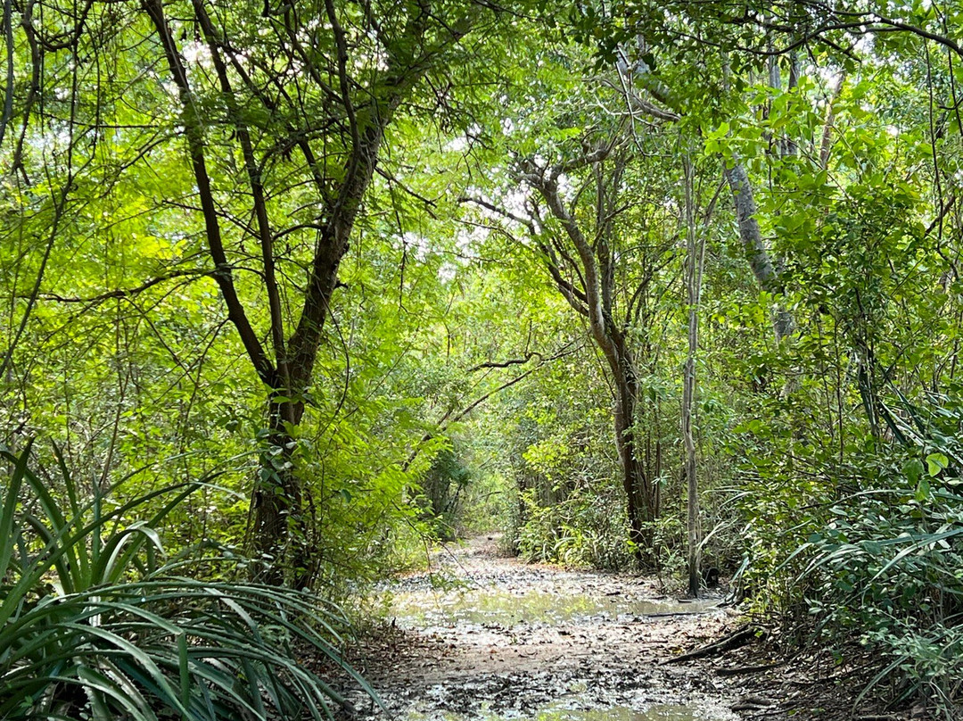 Playa Escondida-法哈多必去景点