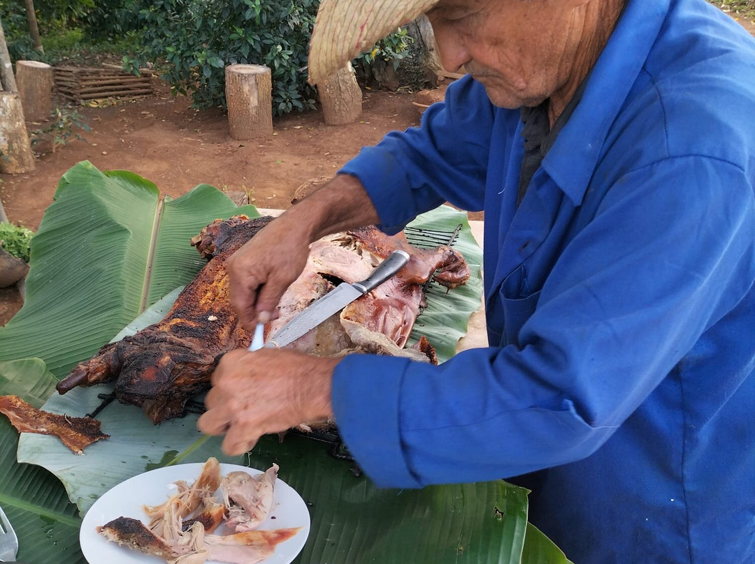 At Cuban Style Expert Vinales Guided Tours景点图片