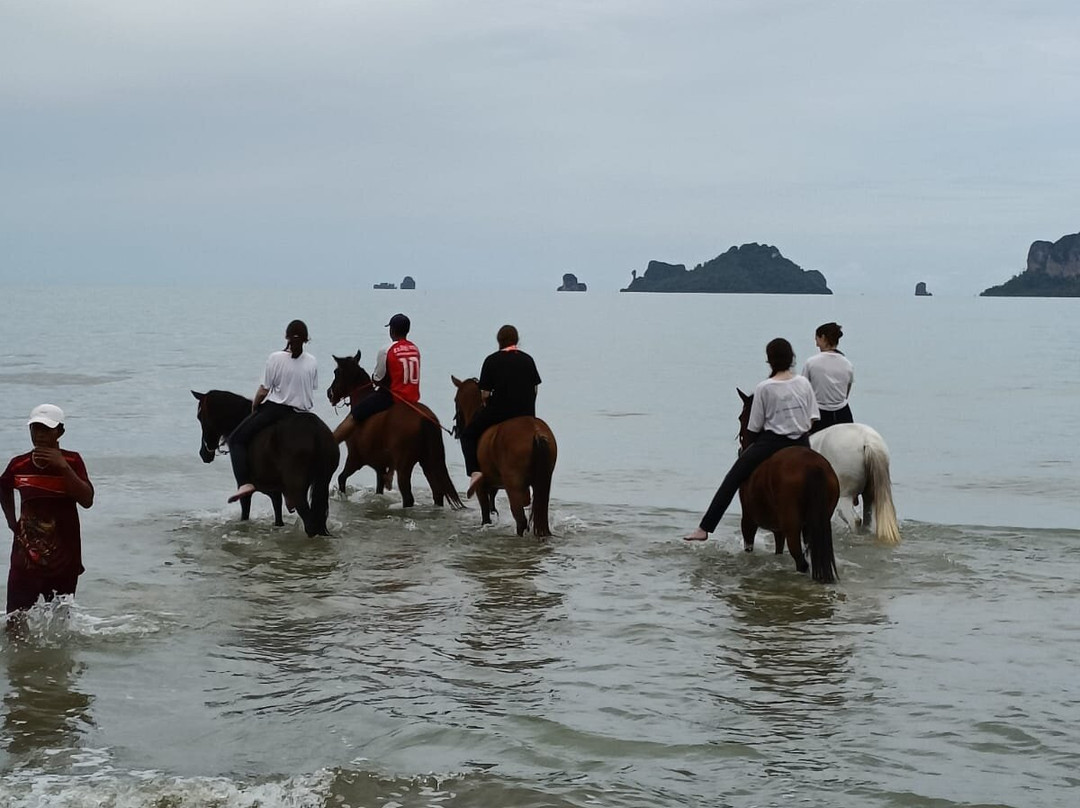 Krabi Nature Horse Riding-奥南必去景点