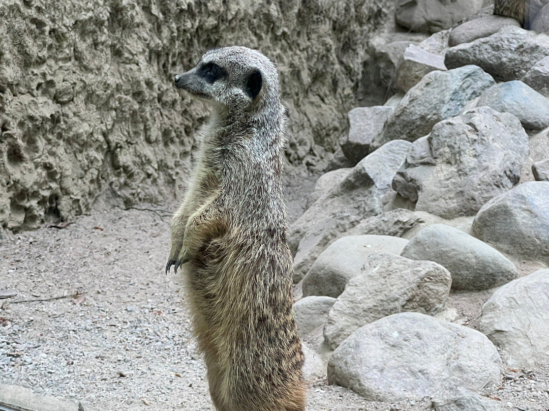 Zoo Eberswalde景点图片