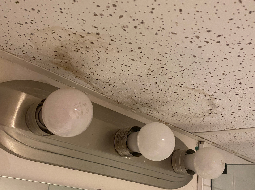 The Shore Club主图