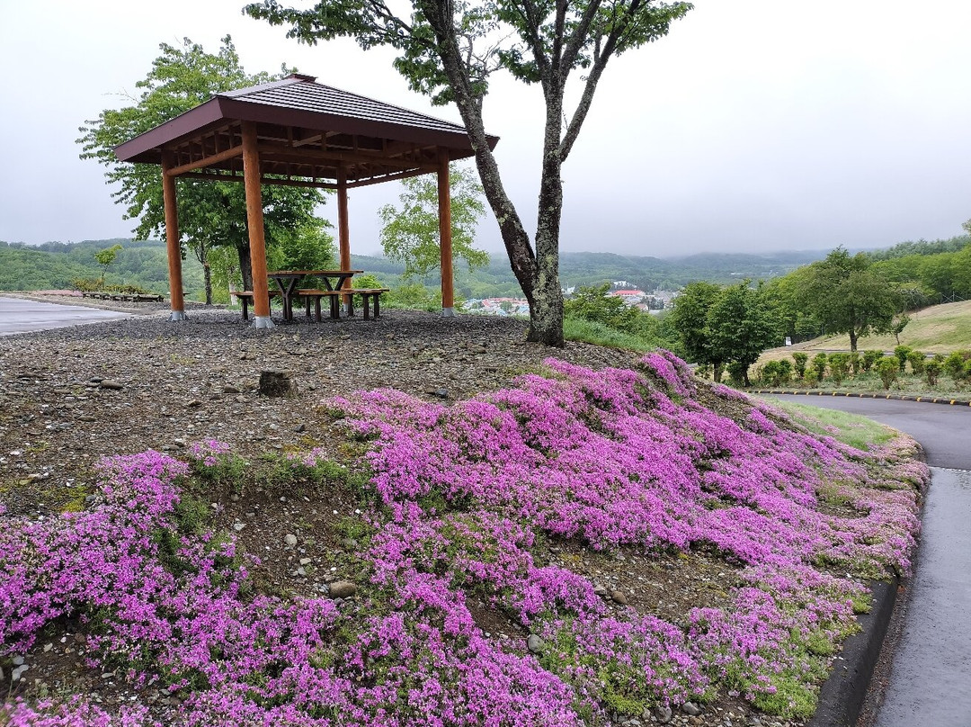 Shibazakura Takinoue Park-泷上町必去景点