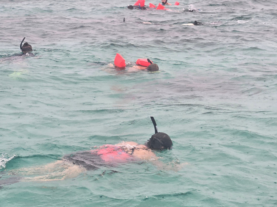 White Sand Water Sports-East End必去景点