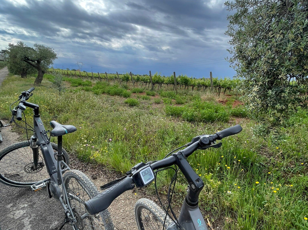 Penedes Ecotours-比拉夫兰卡德尔佩内德斯必去景点