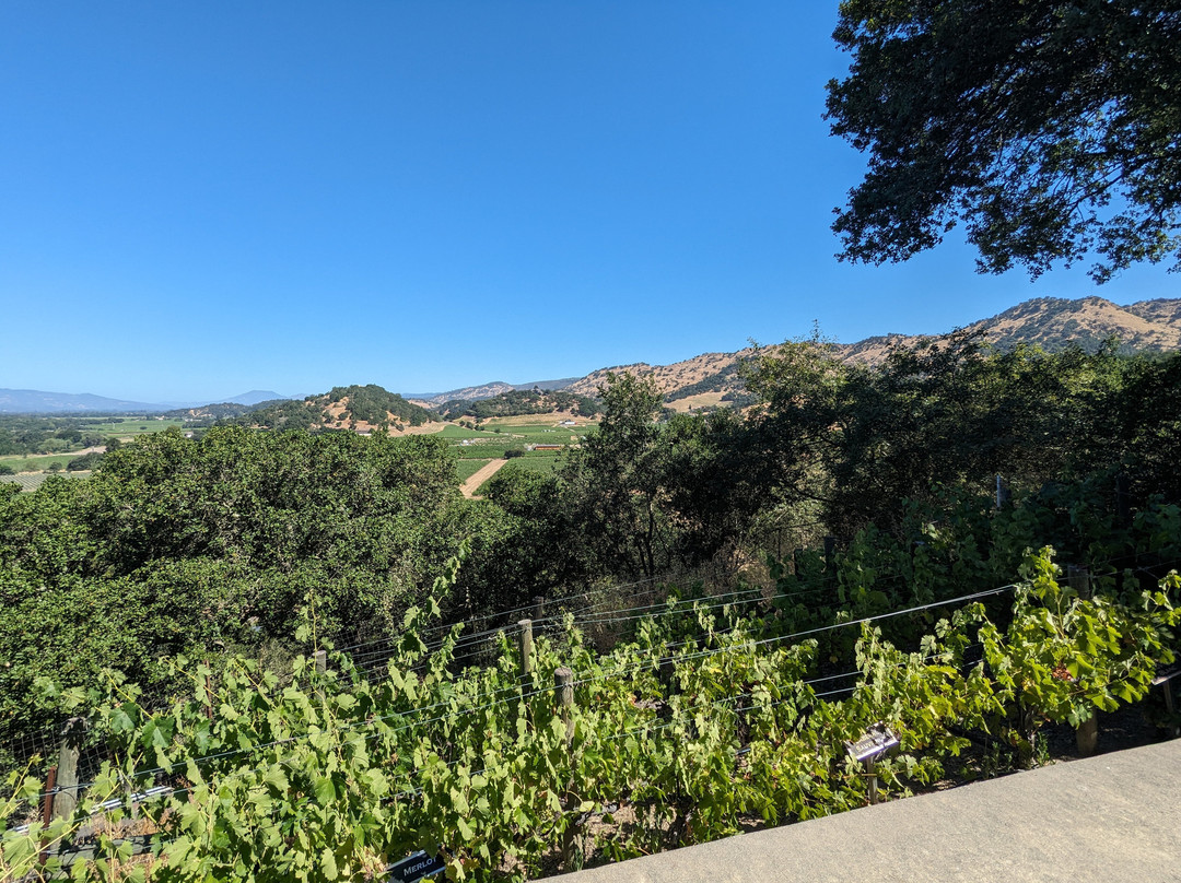 Silverado Vineyards-纳帕必去景点