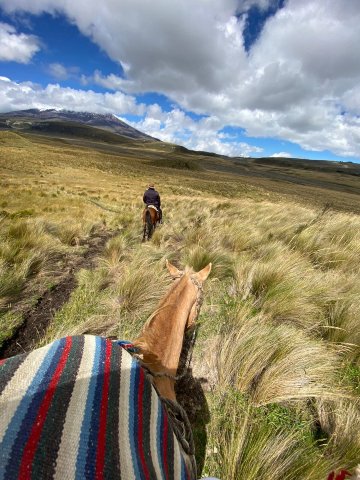 其卡般巴旅舍-家庭/游戏区
