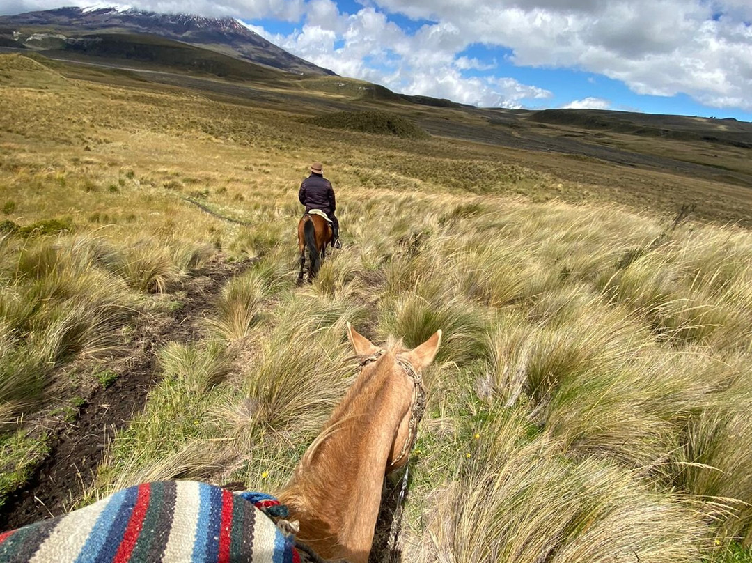 Chilcabamba Mountain Lodge主图