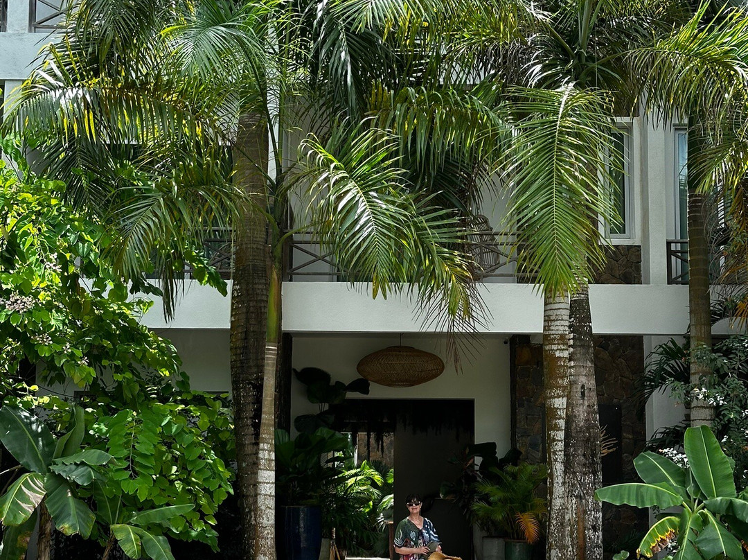 Saman Boutique Hotel主图