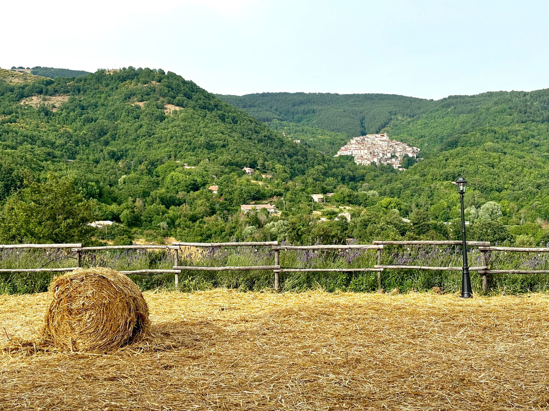 Fattoria Del Borgo In Sabina景点图片