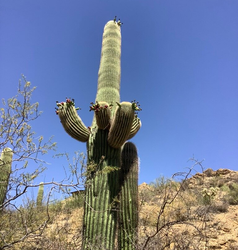 Gates Pass-图森必去景点