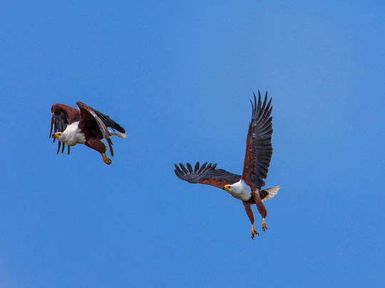 Mwendo Luxury Tours.-卡巴莱必去景点