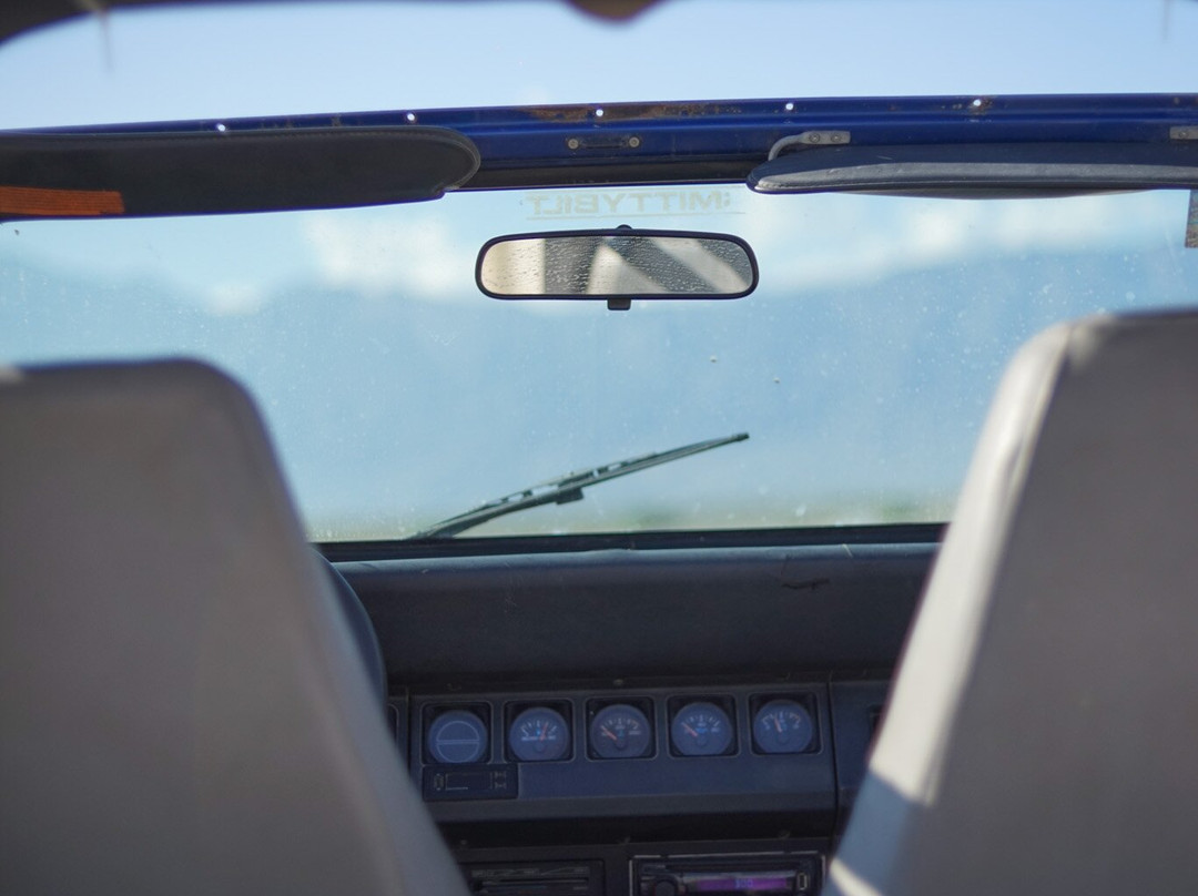 Roadrunner Coahuila Desert-Cuatro Cienegas必去景点