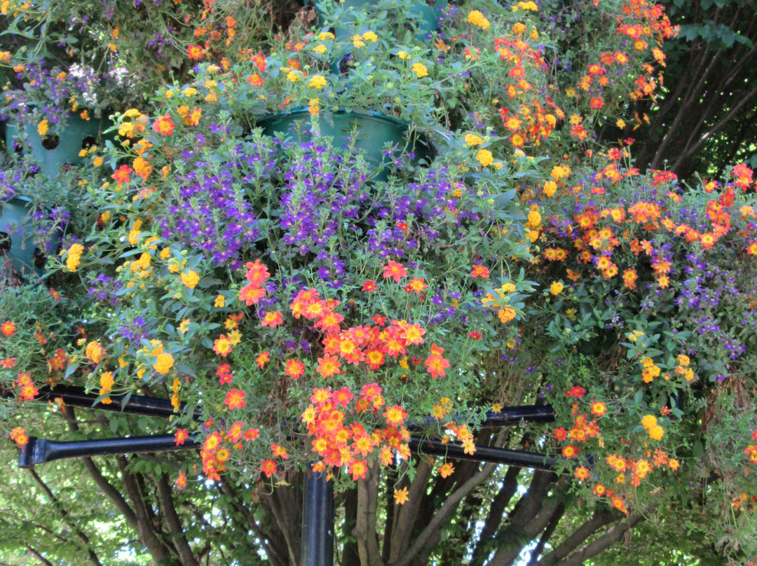 Oshawa Valley Botanical Gardens-奥沙瓦必去景点