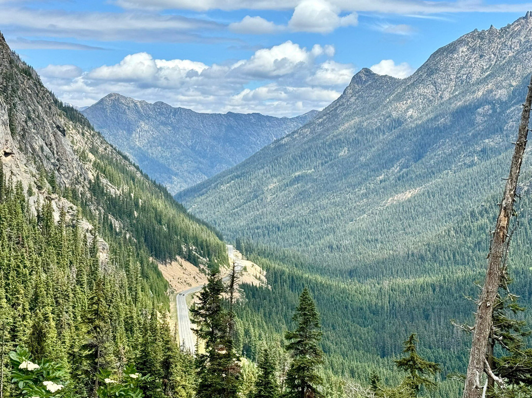 Washington Pass Overlook景点图片