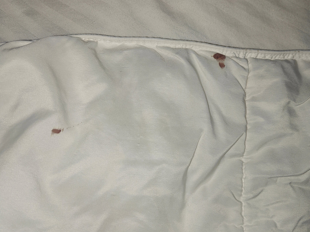 Dana Point Marina Inn主图