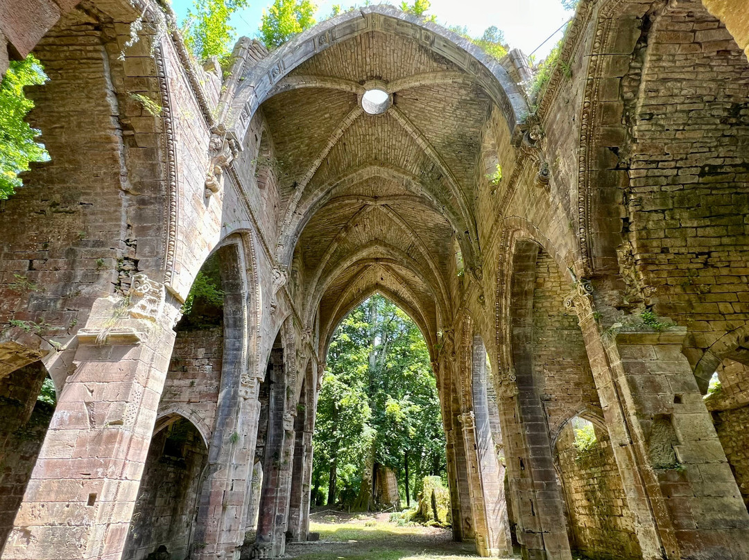 Abbaye de Trois-Fontaines景点图片