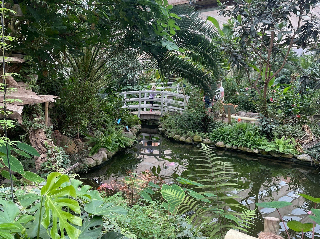 Schmetterlingspark Fehmarn景点图片