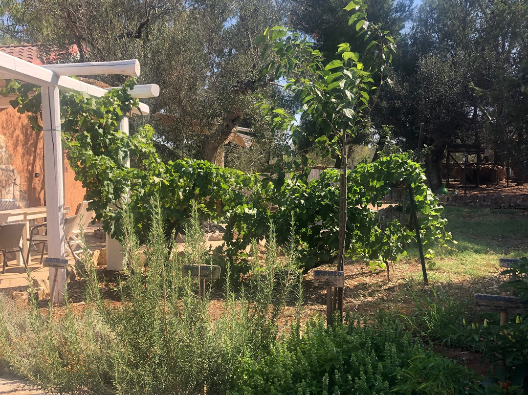 B&B Macchia Salentina主图