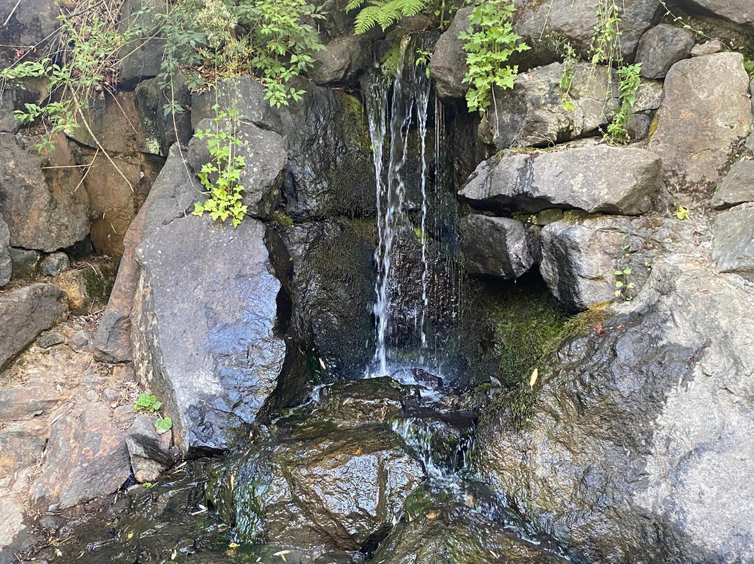 Tumwater Falls Park-塔姆沃特必去景点