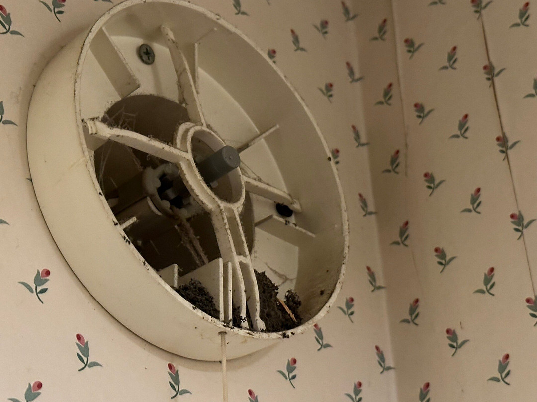 Auld Holland Inn主图