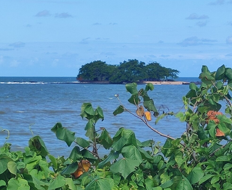 Praia do Grant景点图片