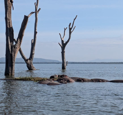 Bush Thorns Adventures and Safaris-内罗毕必去景点