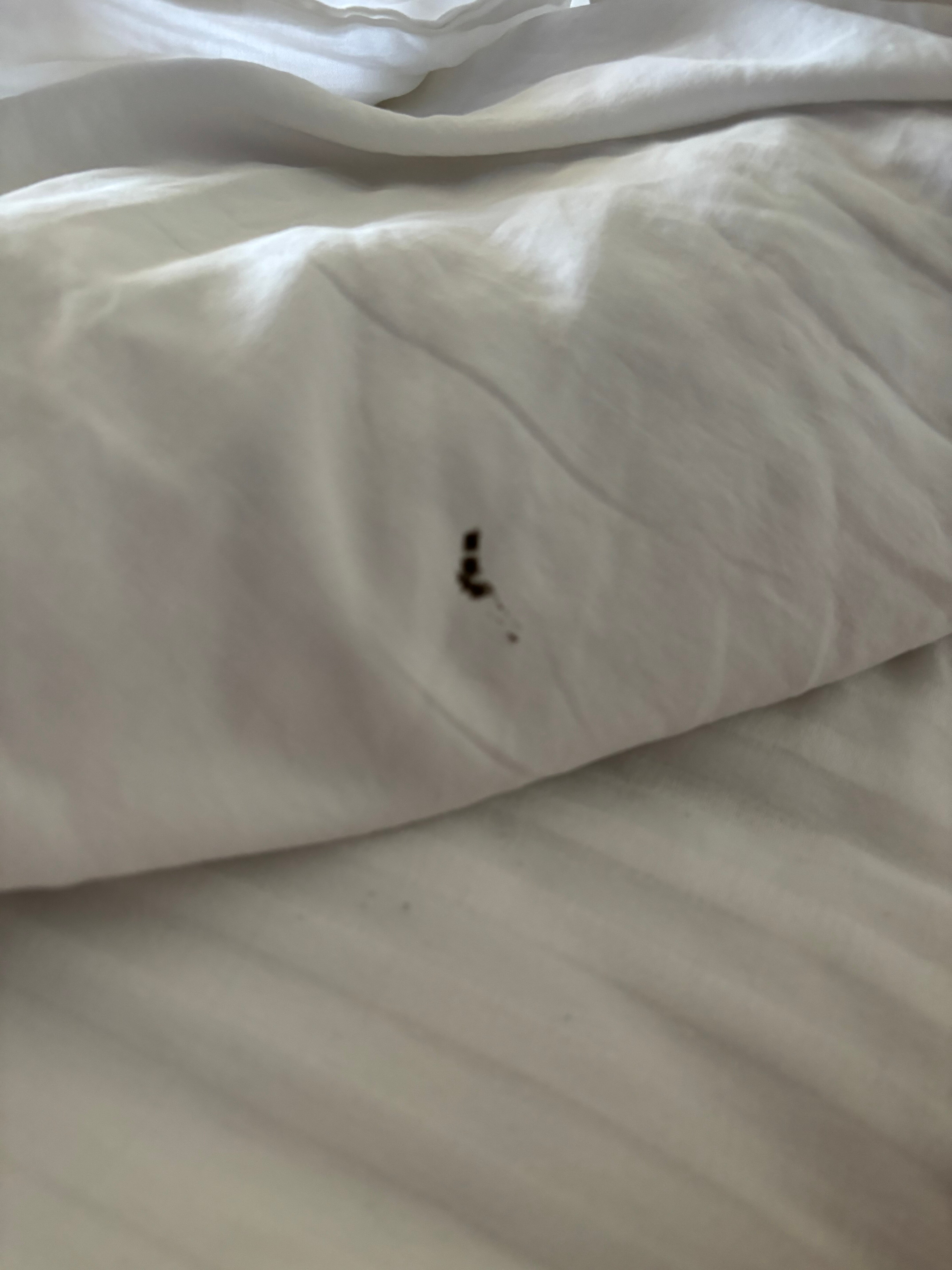 Three Rivers Inn-官方