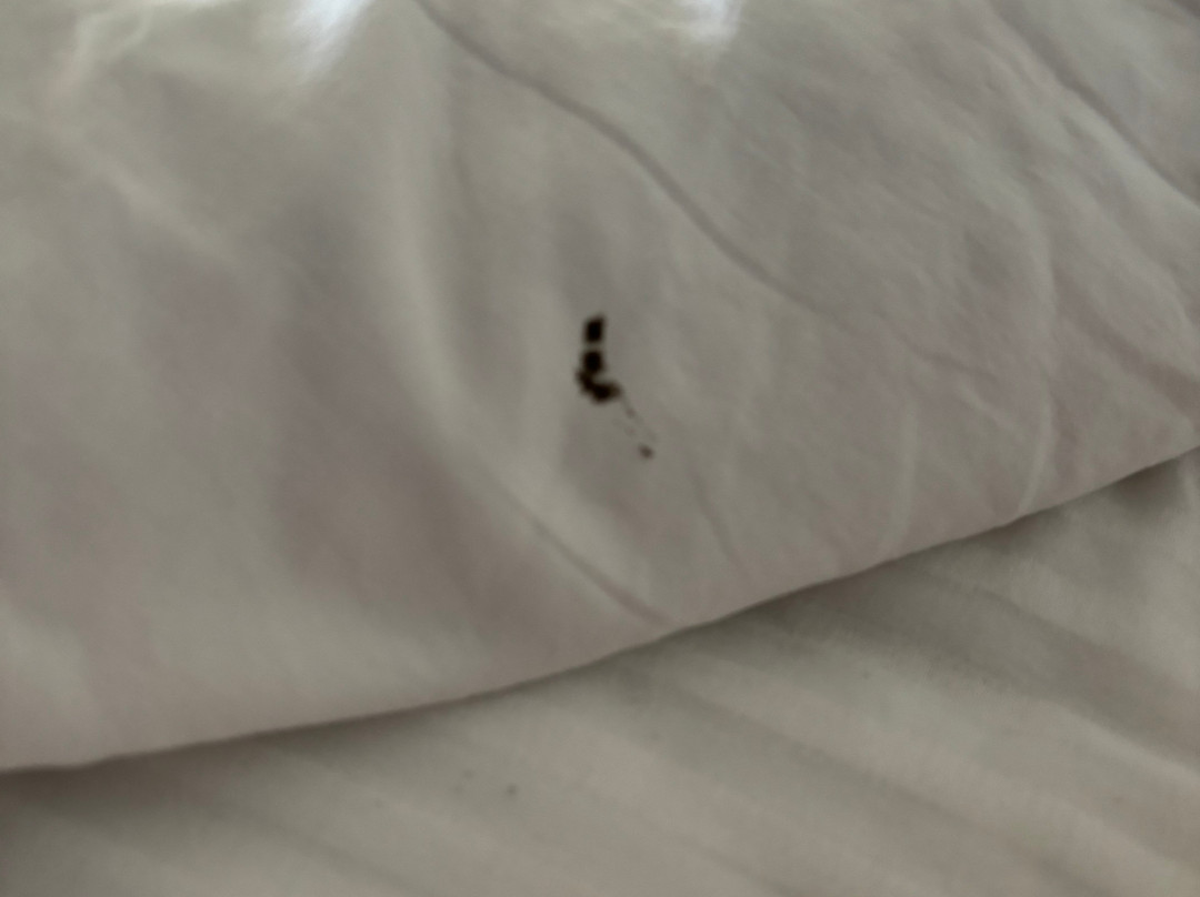 Three Rivers Inn主图