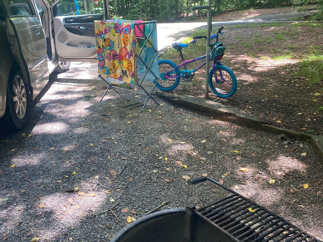 Lake Powhatan Recreation Area & Campground-阿什维尔必去景点
