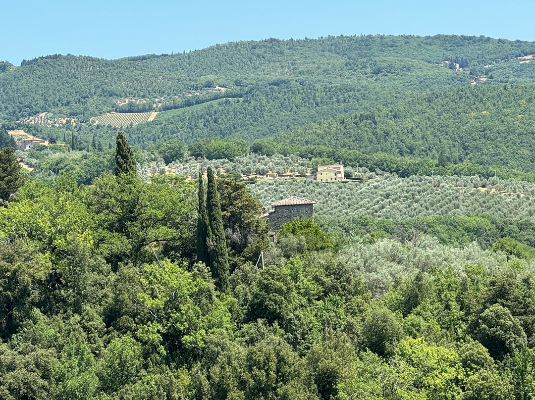Villa S. Andrea主图