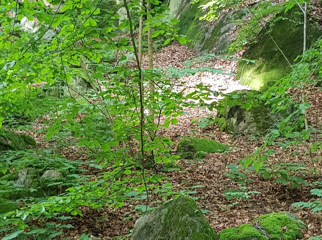 Ronneby Brunnspark-Ronneby必去景点