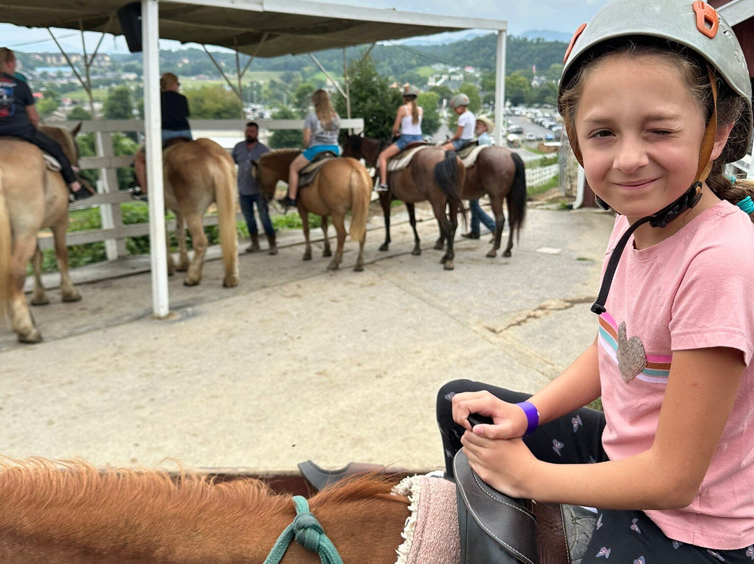 Five Oaks Riding Stables-塞维尔维尔必去景点