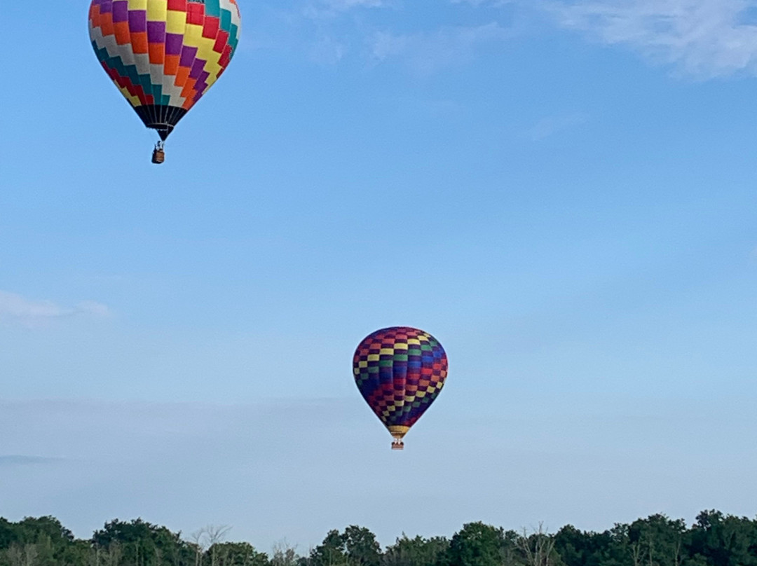 Ontario Hot Air Balloon Rides景点图片